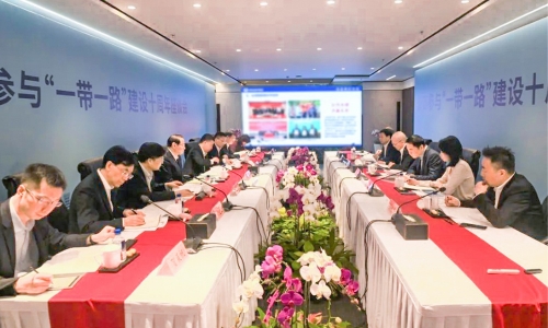 浙商参与“一带一路”建设10周年座谈会召开，陈蕾董事长受邀参会并作主题发言