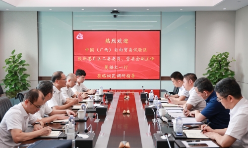 中国（广西）自由贸易试验区钦州港片区管理委员会副主任、党工委委员莫福文莅临尊龙凯时人生就是搏调研