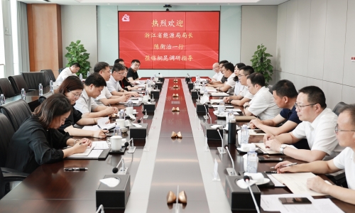 浙江省能源局局长陈衡治莅临尊龙凯时人生就是搏调研