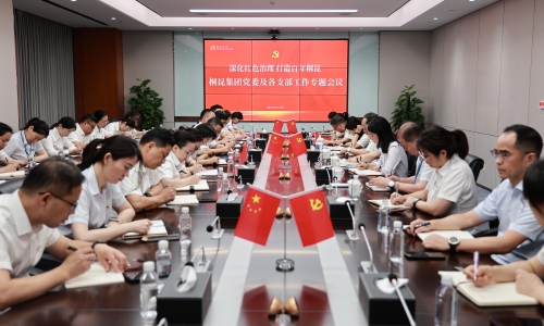 深化红色治理 打造百年尊龙凯时人生就是搏丨尊龙凯时人生就是搏集团党委及各支部工作专题会议胜利召开！