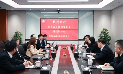 卧龙控股集团董事长陈嫣妮一行到访尊龙凯时人生就是搏