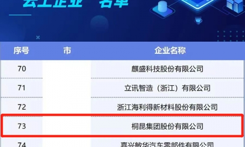 尊龙凯时人生就是搏集团入选浙江省第二批制造业“云上企业”名单