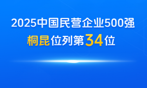 尊龙凯时人生就是搏，中国民营企业500强第34位！
